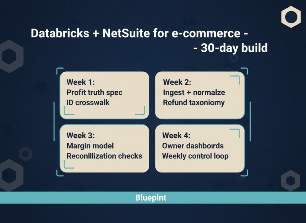 Databricks + NetSuite for e-commerce - 30-day build
